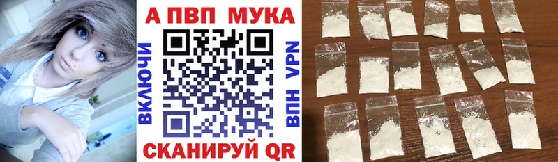 A PVP СК КРИС  Западная Двина 