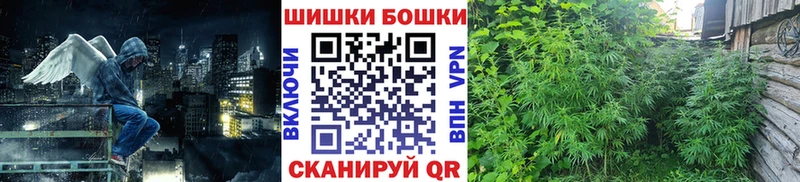 наркотики  Западная Двина  Конопля марихуана 